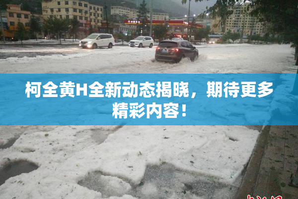柯全黄H全新动态揭晓，期待更多精彩内容！