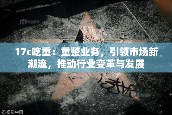 17c吃重：重整业务，引领市场新潮流，推动行业变革与发展