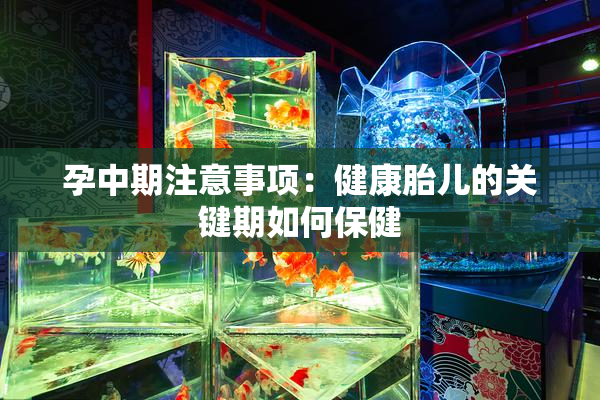 孕中期注意事项：健康胎儿的关键期如何保健