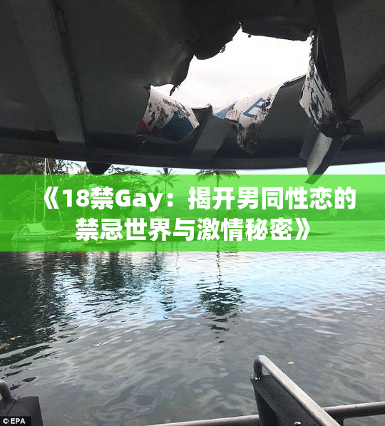 《18禁Gay：揭开男同性恋的禁忌世界与激情秘密》