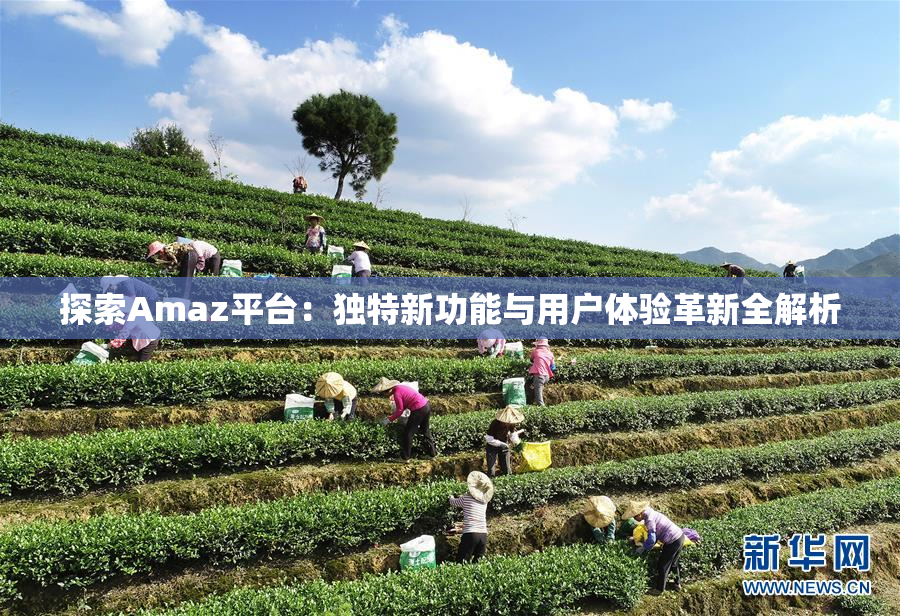探索Amaz平台：独特新功能与用户体验革新全解析
