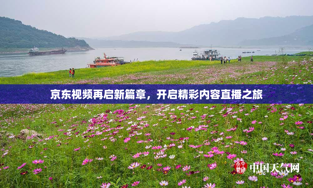 京东视频再启新篇章，开启精彩内容直播之旅