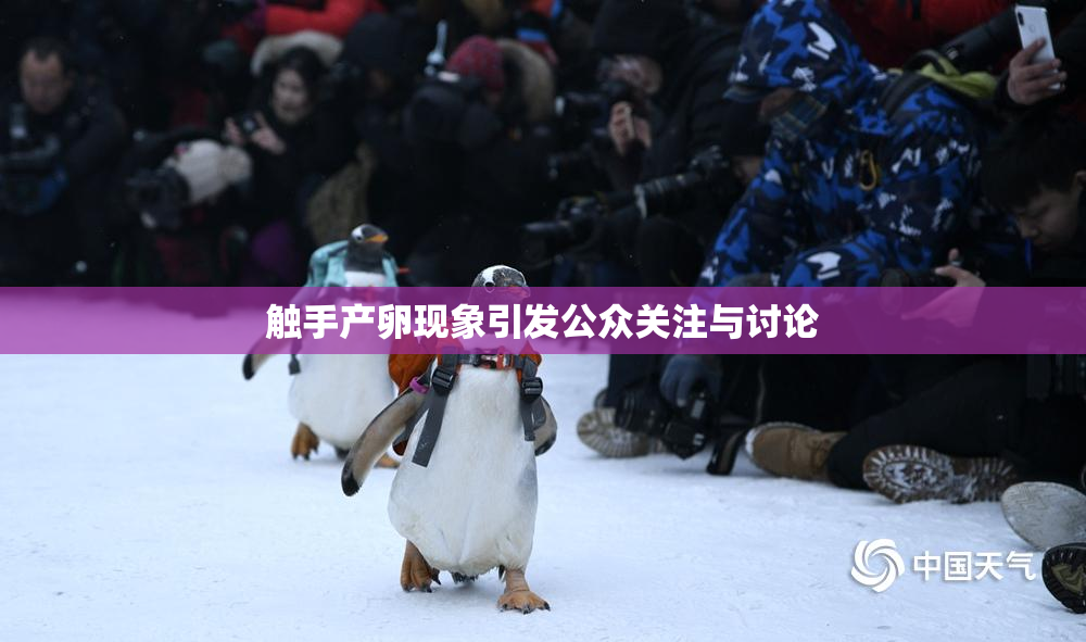 触手产卵现象引发公众关注与讨论