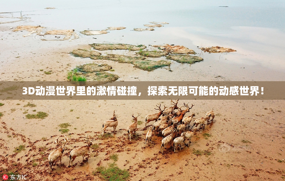 3D动漫世界里的激情碰撞，探索无限可能的动感世界！