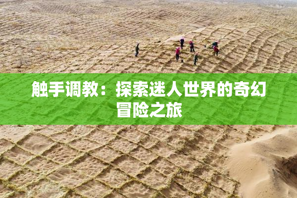触手调教：探索迷人世界的奇幻冒险之旅