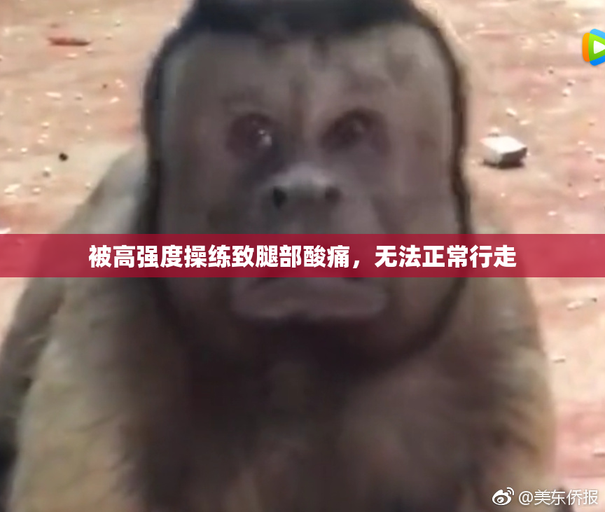 被高强度操练致腿部酸痛，无法正常行走