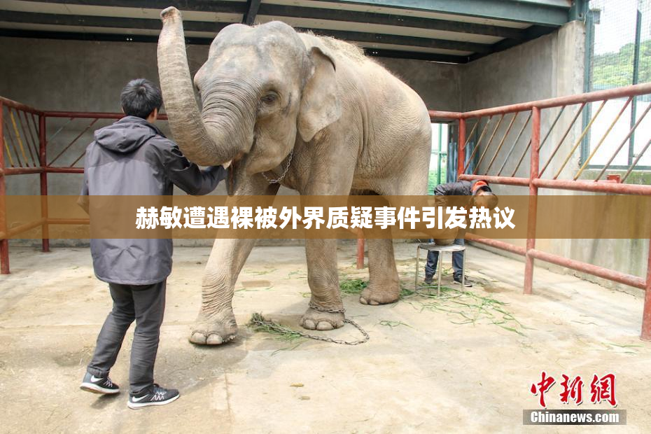 赫敏遭遇裸被外界质疑事件引发热议