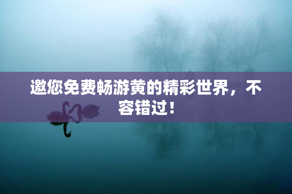 邀您免费畅游黄的精彩世界，不容错过！