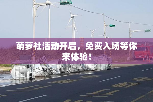萌萝社活动开启，免费入场等你来体验！