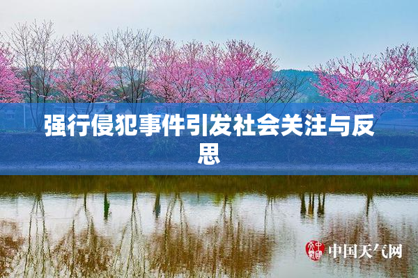 强行侵犯事件引发社会关注与反思
