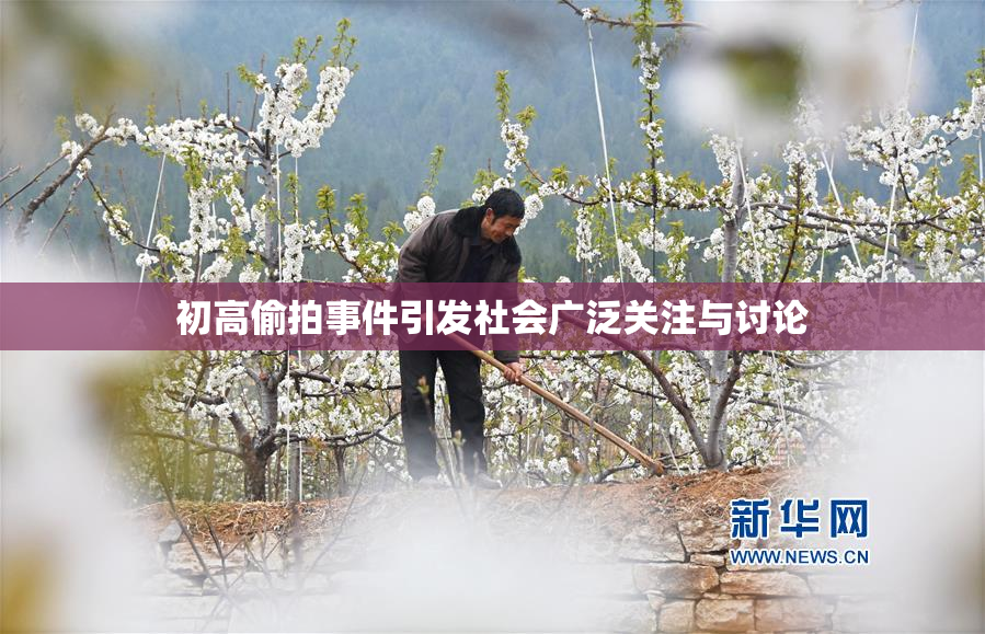初高偷拍事件引发社会广泛关注与讨论