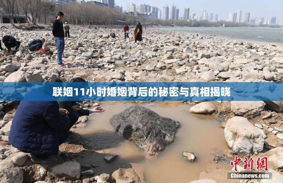 联姻11小时婚姻背后的秘密与真相揭晓