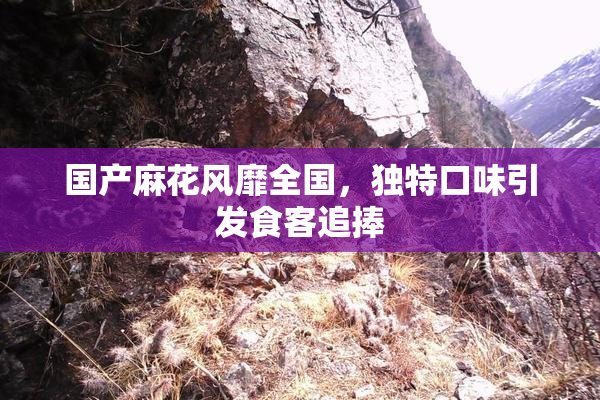 国产麻花风靡全国，独特口味引发食客追捧