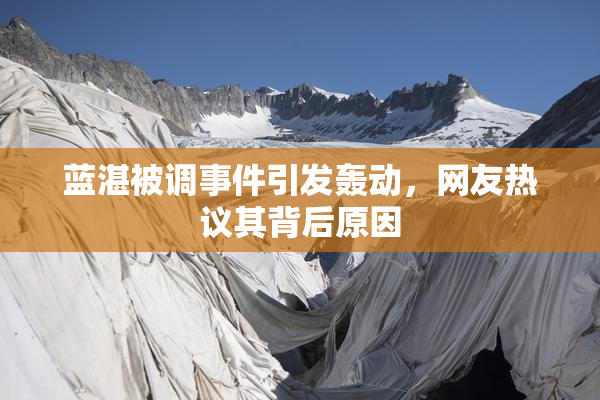 蓝湛被调事件引发轰动，网友热议其背后原因