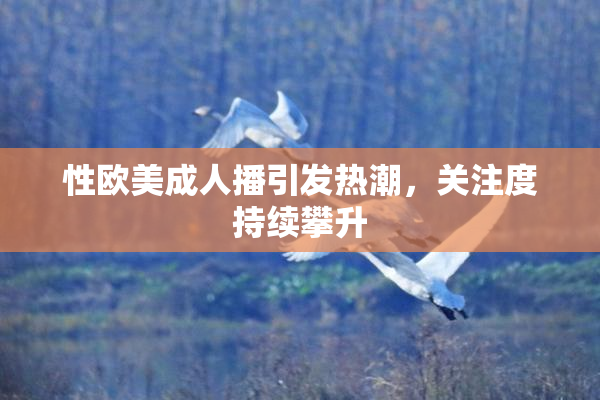 性欧美成人播引发热潮，关注度持续攀升