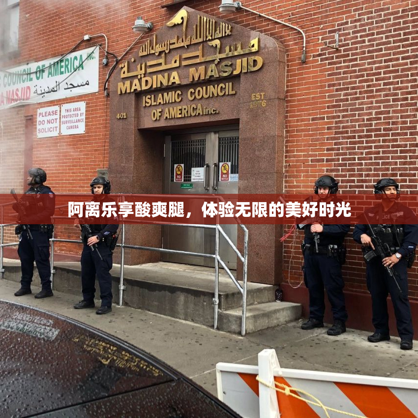 阿离乐享酸爽腿，体验无限的美好时光