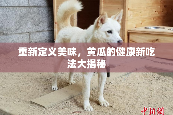 重新定义美味，黄瓜的健康新吃法大揭秘