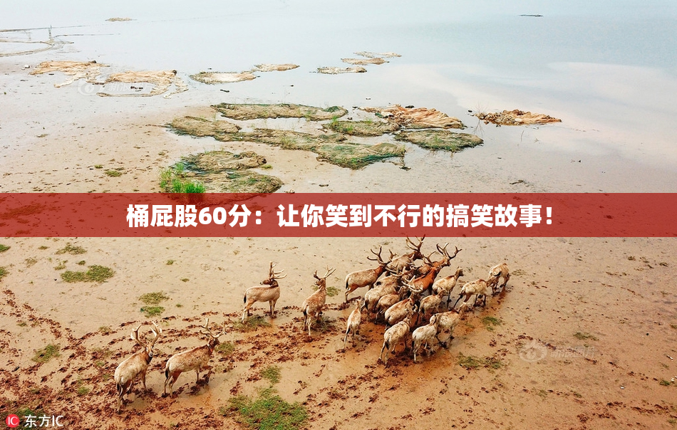 桶屁股60分：让你笑到不行的搞笑故事！