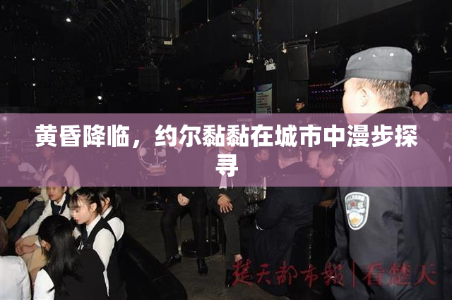 黄昏降临，约尔黏黏在城市中漫步探寻