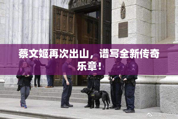 蔡文姬再次出山，谱写全新传奇乐章！