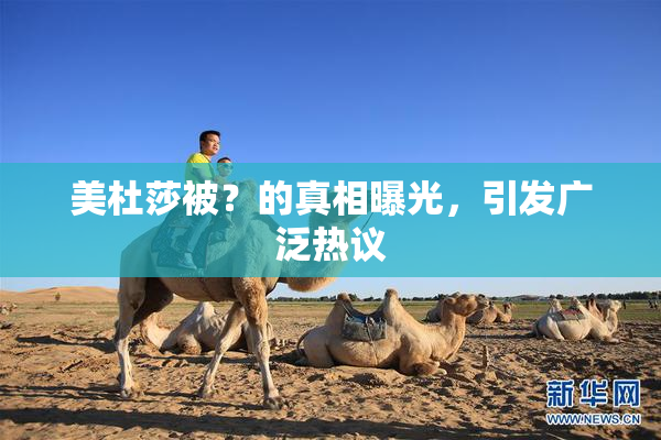 美杜莎被？的真相曝光，引发广泛热议