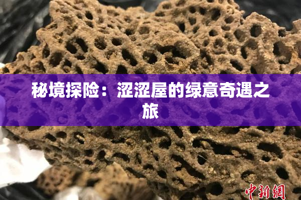 秘境探险：涩涩屋的绿意奇遇之旅