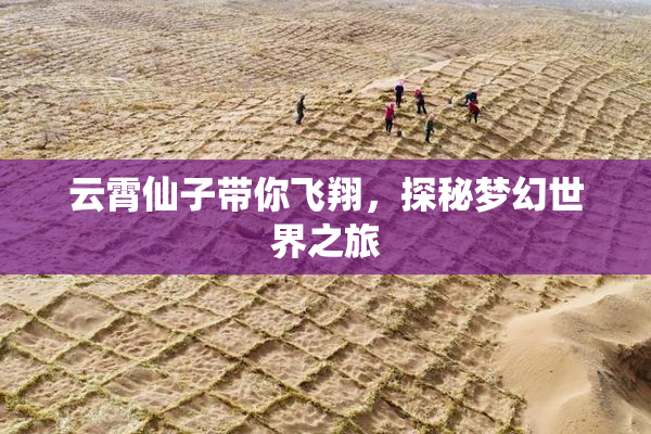 云霄仙子带你飞翔，探秘梦幻世界之旅