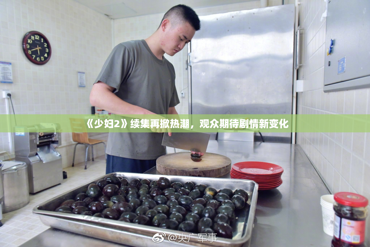 《少妇2》续集再掀热潮，观众期待剧情新变化