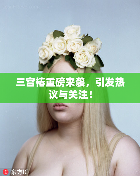 三宫椿重磅来袭，引发热议与关注！