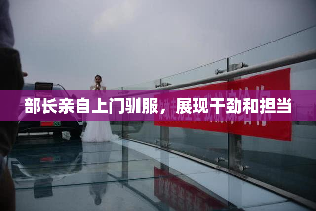 部长亲自上门驯服，展现干劲和担当