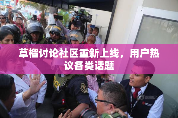 草榴讨论社区重新上线，用户热议各类话题