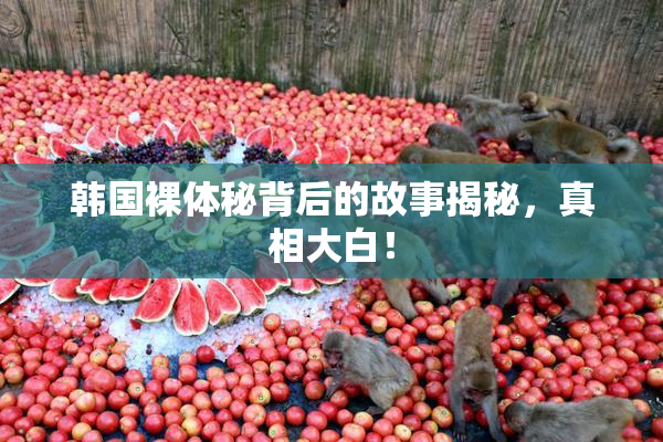 韩国裸体秘背后的故事揭秘，真相大白！
