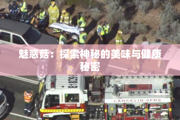 魅惑菇：探索神秘的美味与健康秘密