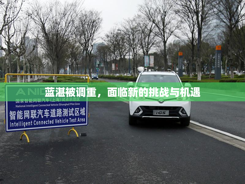 蓝湛被调重，面临新的挑战与机遇