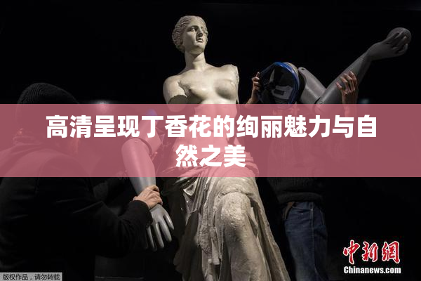 高清呈现丁香花的绚丽魅力与自然之美