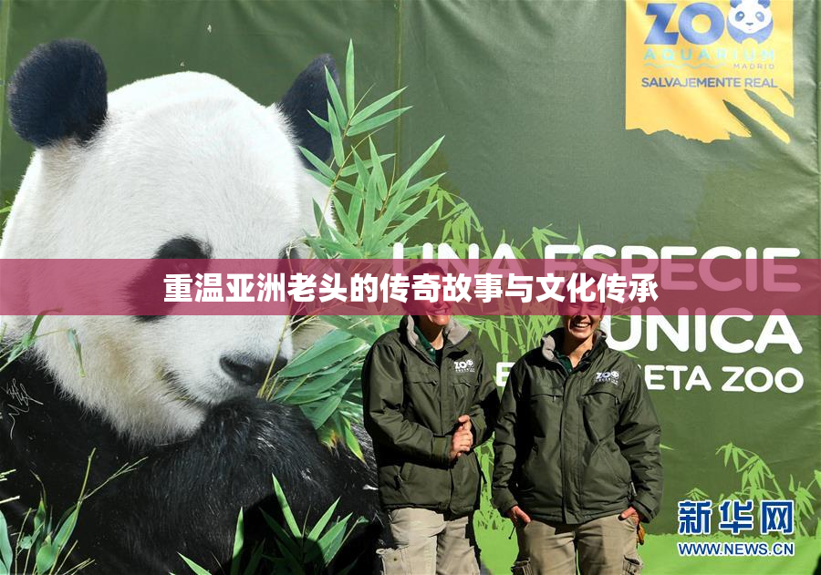 重温亚洲老头的传奇故事与文化传承