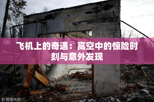 飞机上的奇遇：高空中的惊险时刻与意外发现