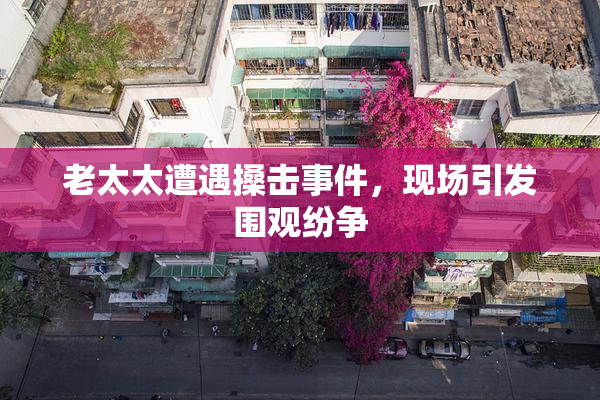 老太太遭遇搡击事件，现场引发围观纷争