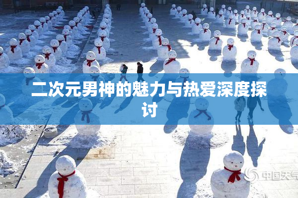 二次元男神的魅力与热爱深度探讨