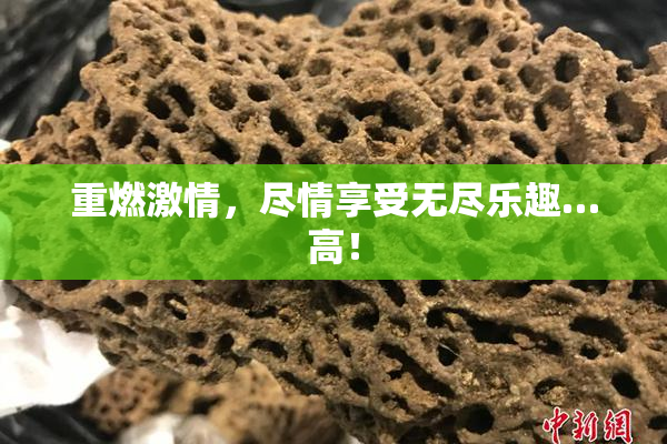 重燃激情，尽情享受无尽乐趣…高！