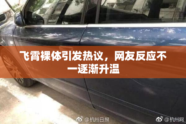 飞霄裸体引发热议，网友反应不一逐渐升温