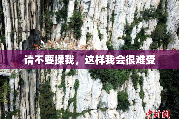 请不要揉我，这样我会很难受