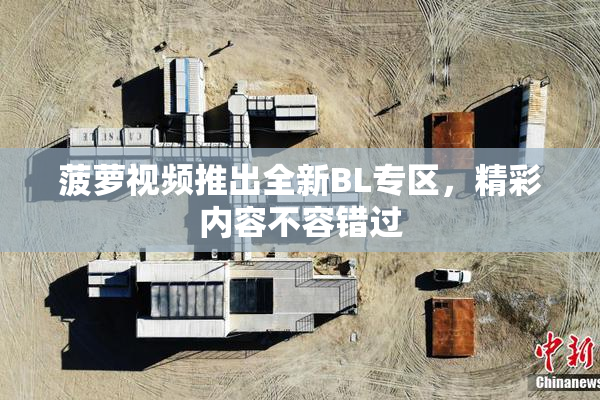 菠萝视频推出全新BL专区，精彩内容不容错过