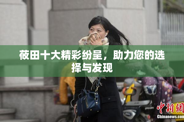 莜田十大精彩纷呈，助力您的选择与发现