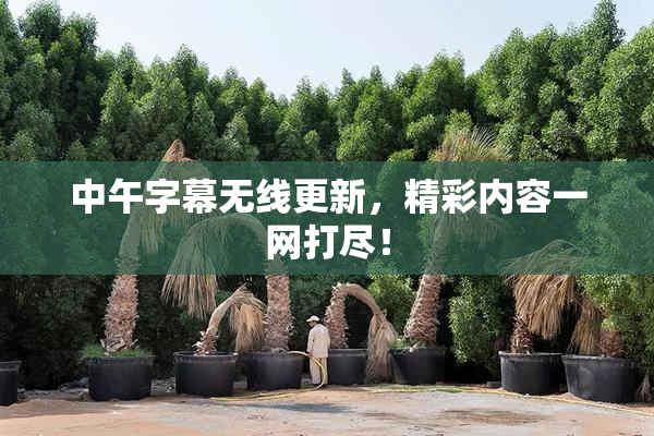 中午字幕无线更新，精彩内容一网打尽！