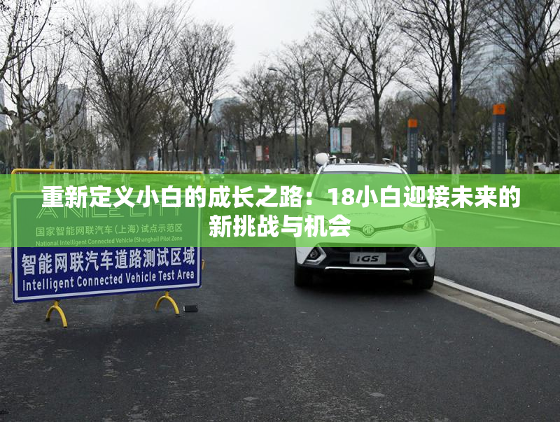 重新定义小白的成长之路：18小白迎接未来的新挑战与机会