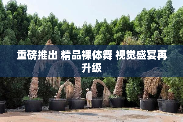 重磅推出 精品裸体舞 视觉盛宴再升级