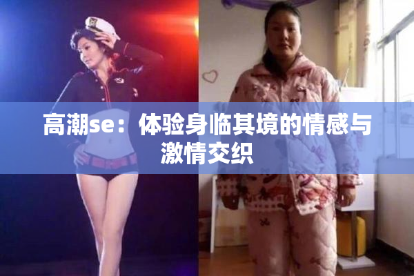 高潮se：体验身临其境的情感与激情交织