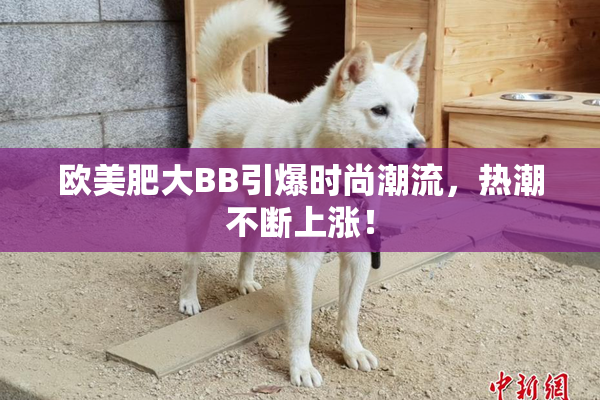 欧美肥大BB引爆时尚潮流，热潮不断上涨！