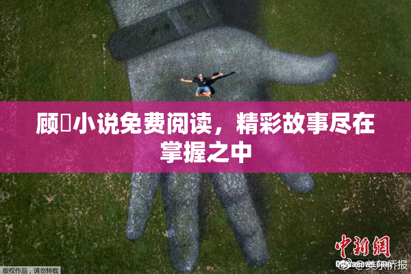 顾嫚小说免费阅读，精彩故事尽在掌握之中